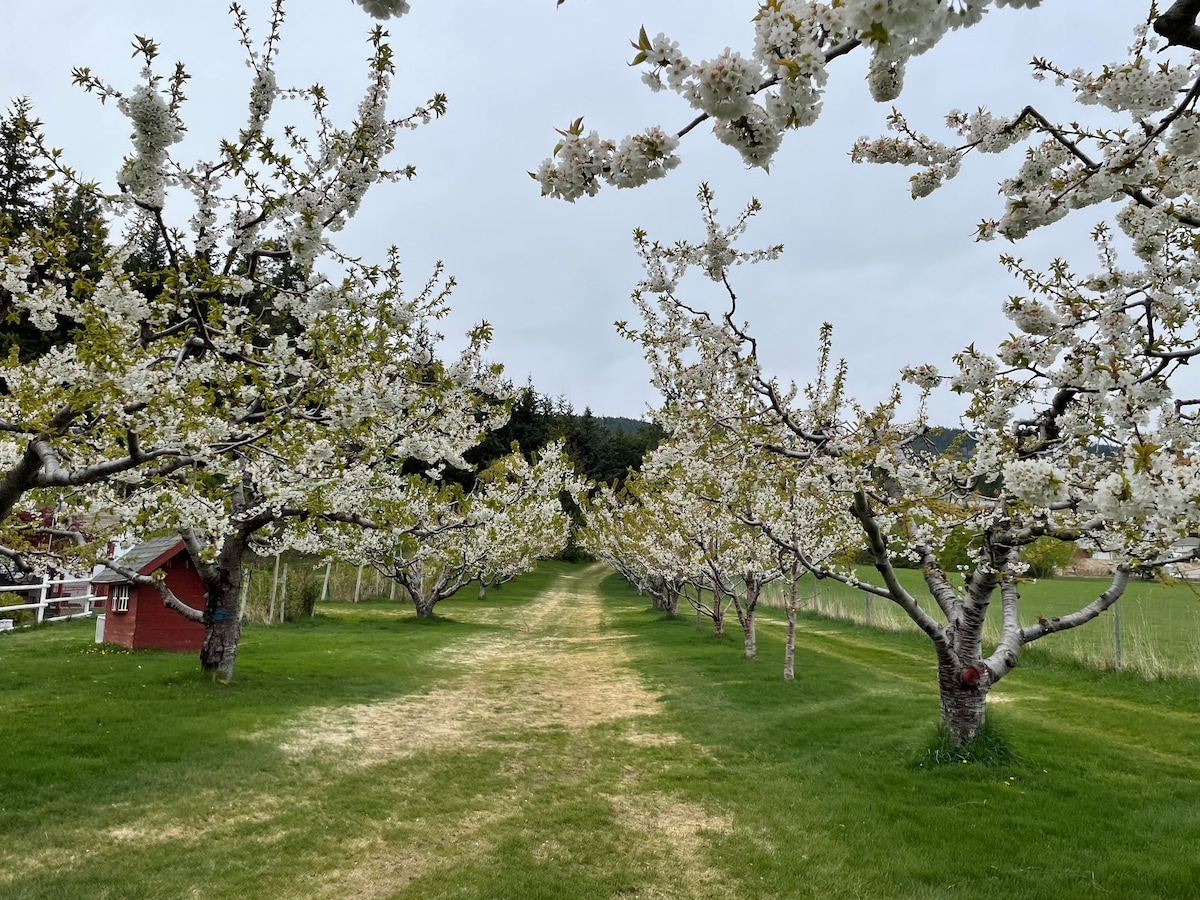 Cherrywood Farm airbnb