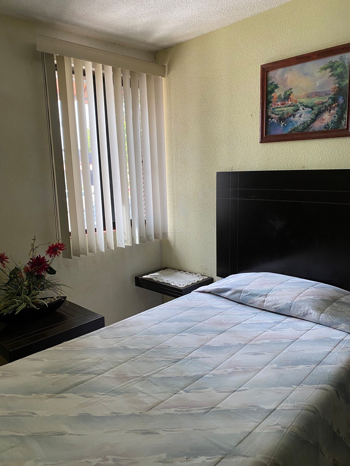 古巴家庭旅馆的房间可供出租！