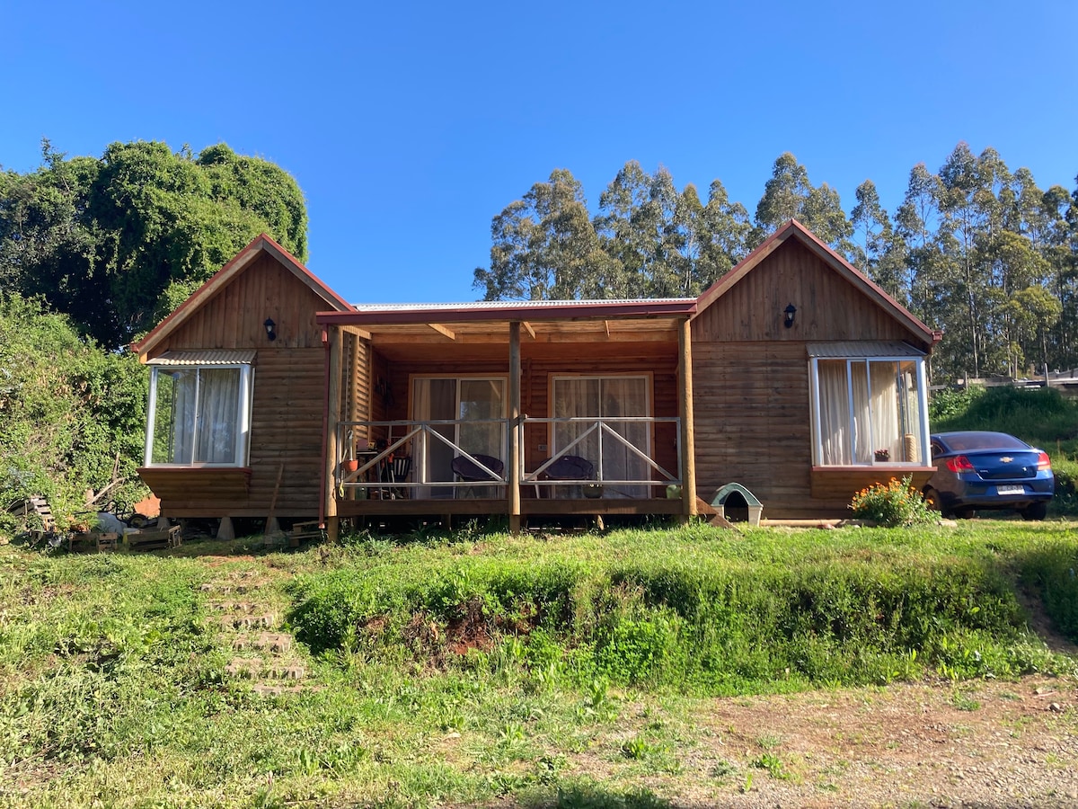 Coliumo Forest Cabin