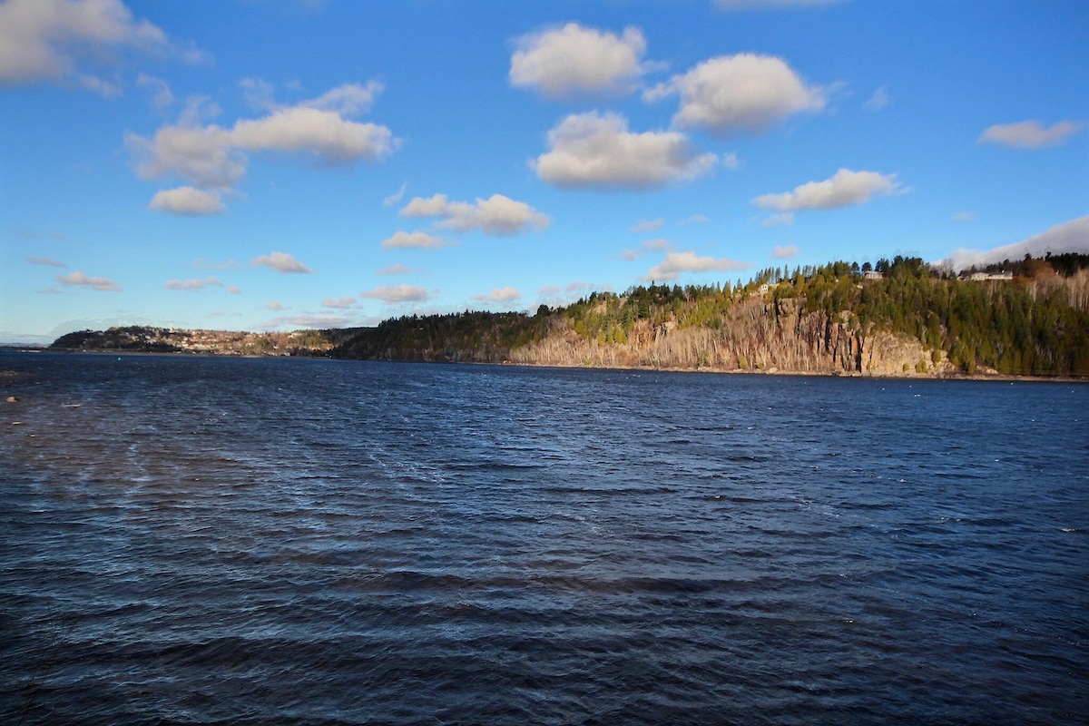 Hector La Rivière