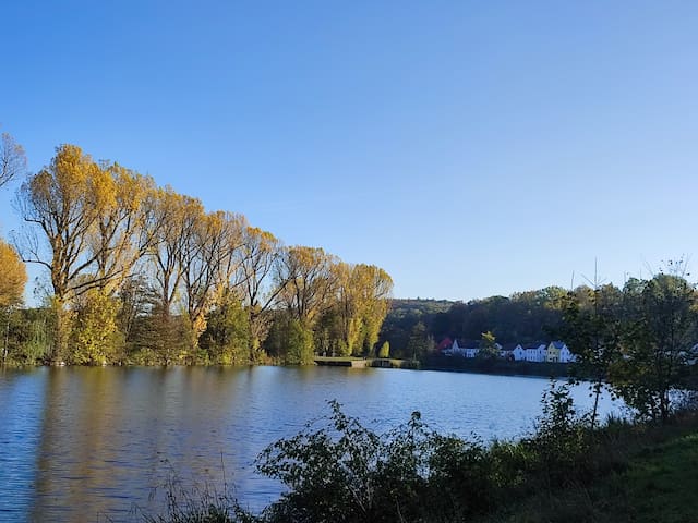 班贝格(Bamberg)的民宿