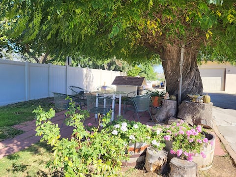 Rare Mid-Century Home with Unique Lower Level