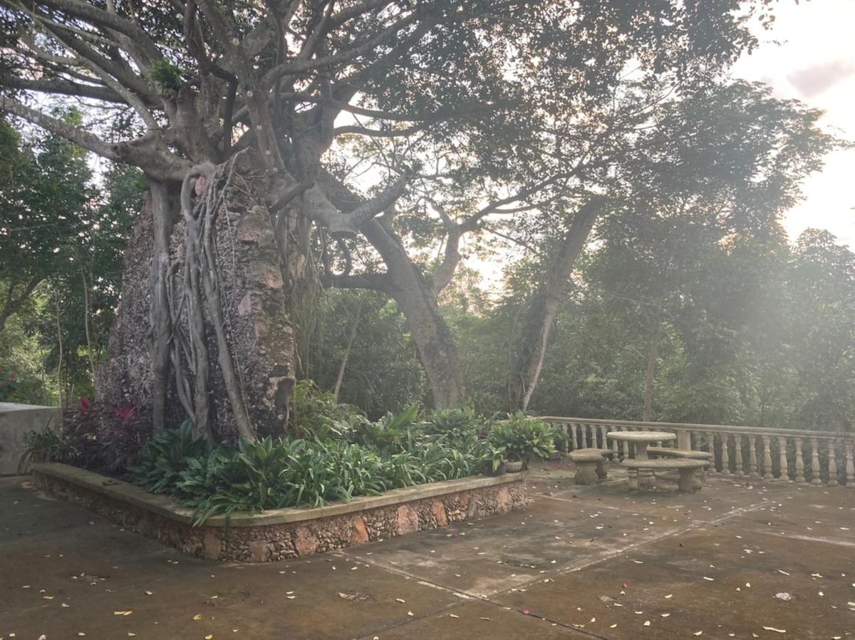 1 Habitación hacienda con cenote