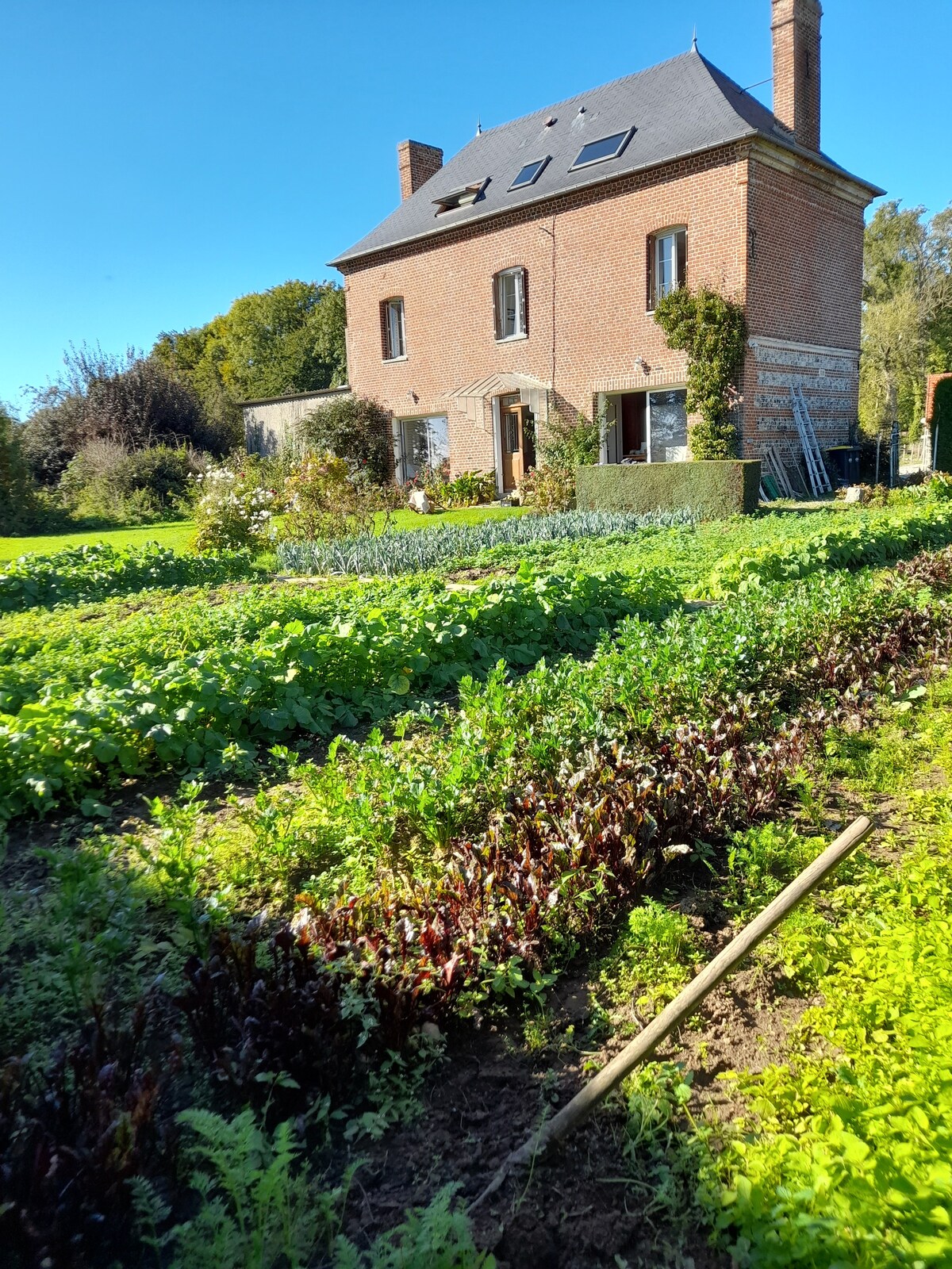 Charmante maison ancienne et son écrin de verdure