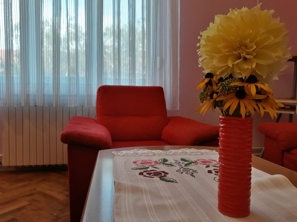 斯拉沃尼亚公寓（ Apartment Slavonia ）