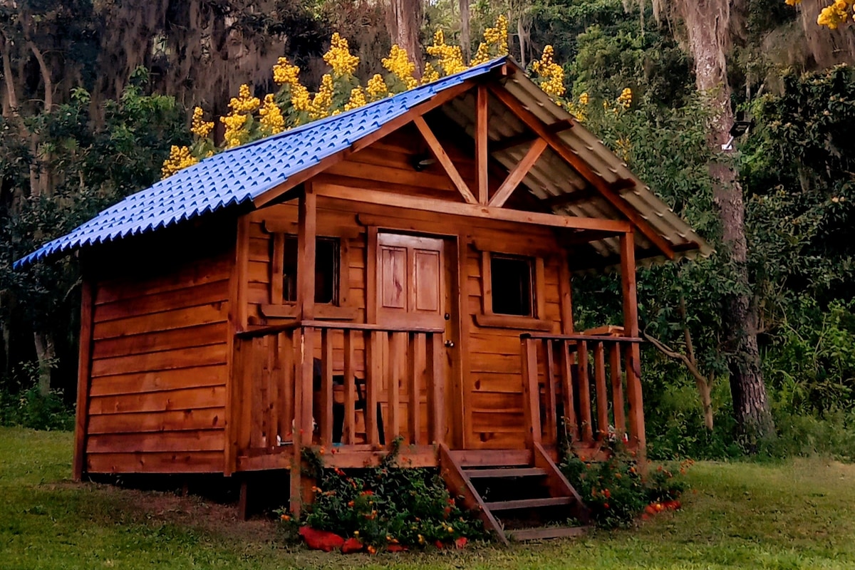 Glamping en Constanza - 2 Casitas en el Bosque