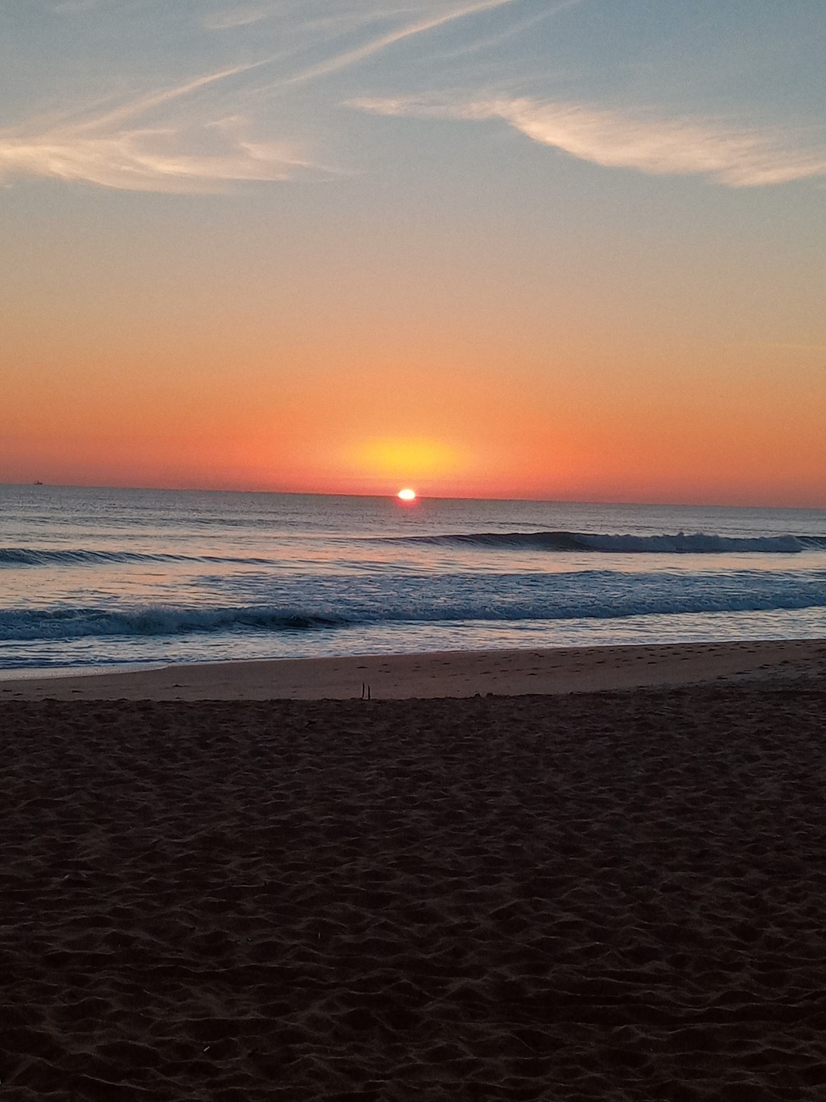 The Surf Shack