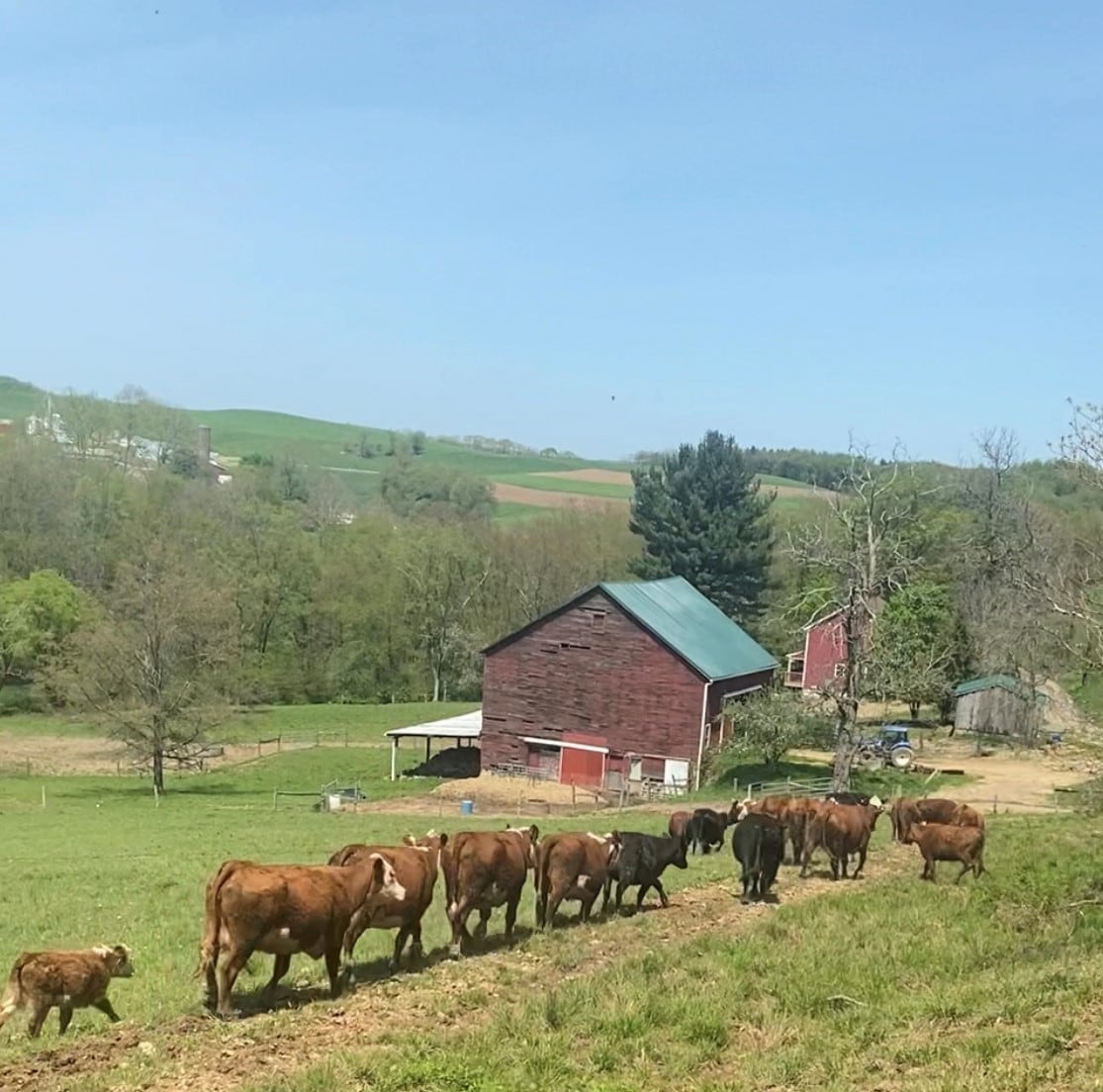 Cattle Ranch乡村3卧室农舍