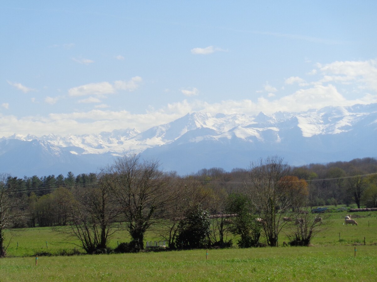 2 pièces. Charme face aux Pyrénées et Parking