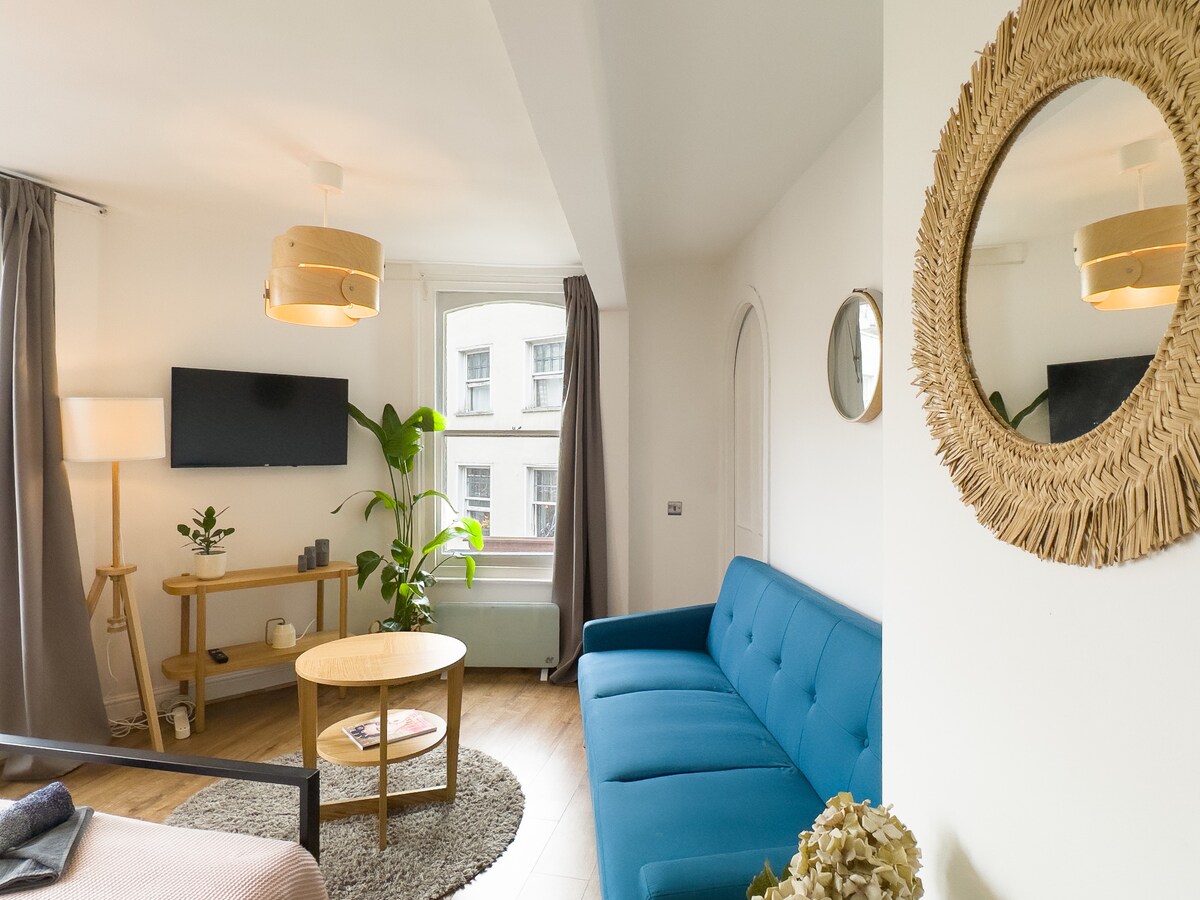 伦敦市中心可容纳3位房客的单间公寓