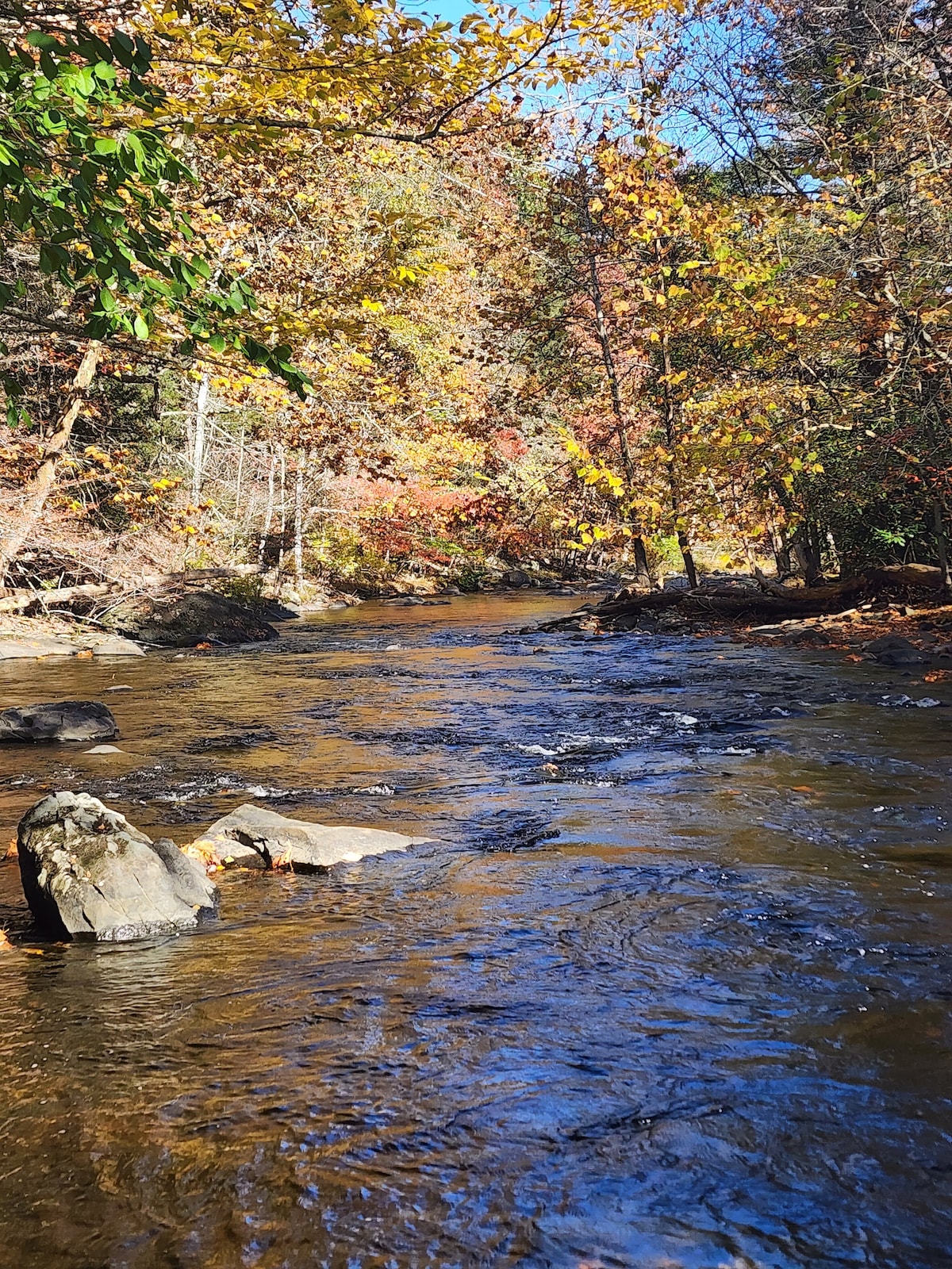 Stream Side Cabin Near Bushkill Falls