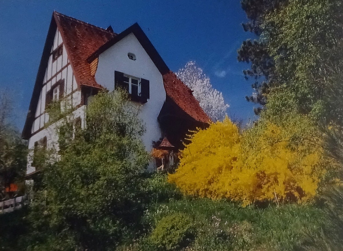 阿尔卑斯山脉和康斯坦茨湖之间的Rustika别墅