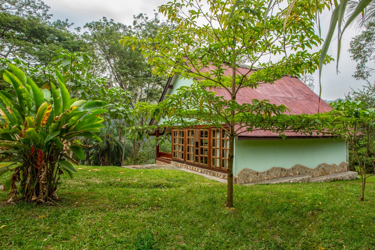 Lake Kasenda Lodge |自然、宁静、热情好客