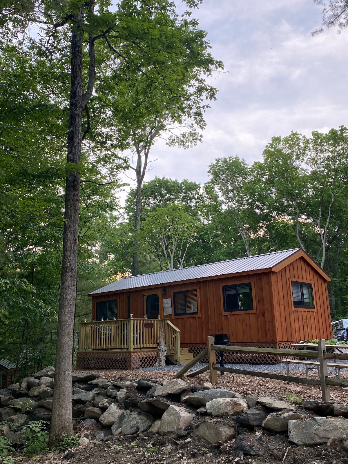 Enchanting New Cabin Cedar Springs Horse Ranch