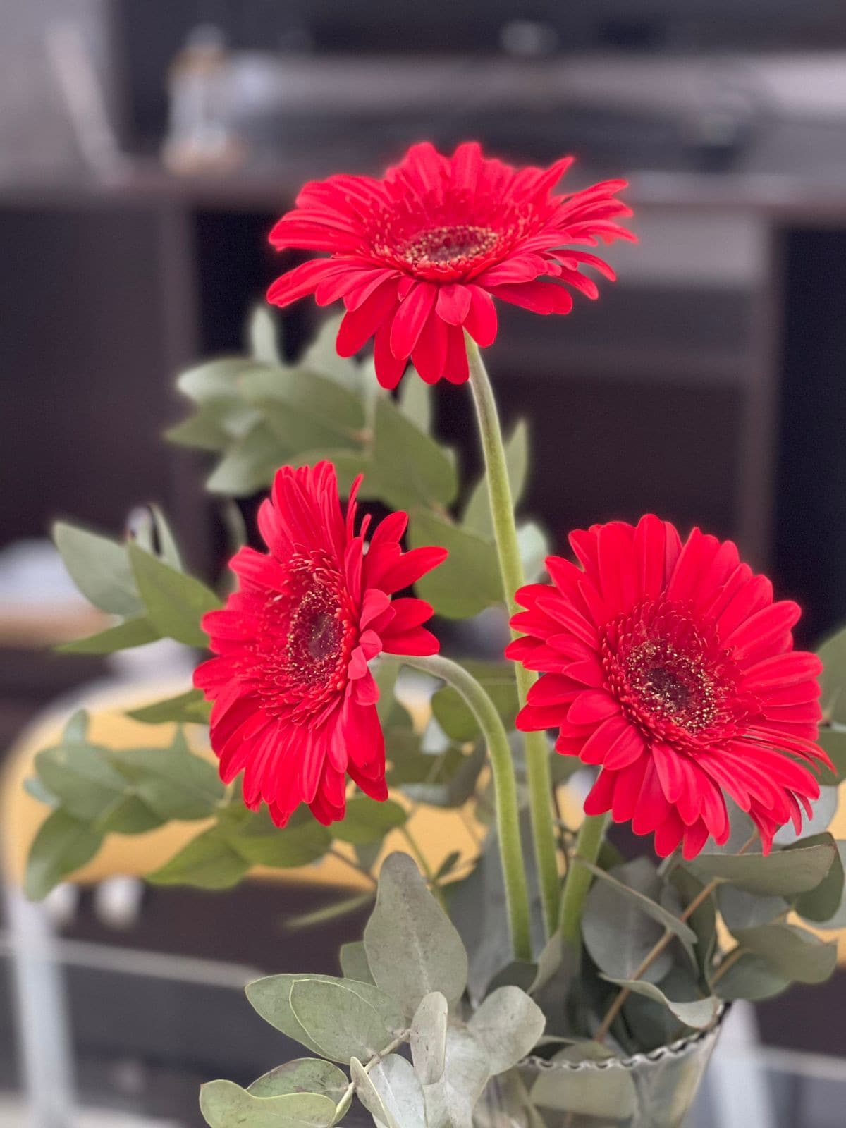 Luminoso departamento con patio, Gerbera Colorada!