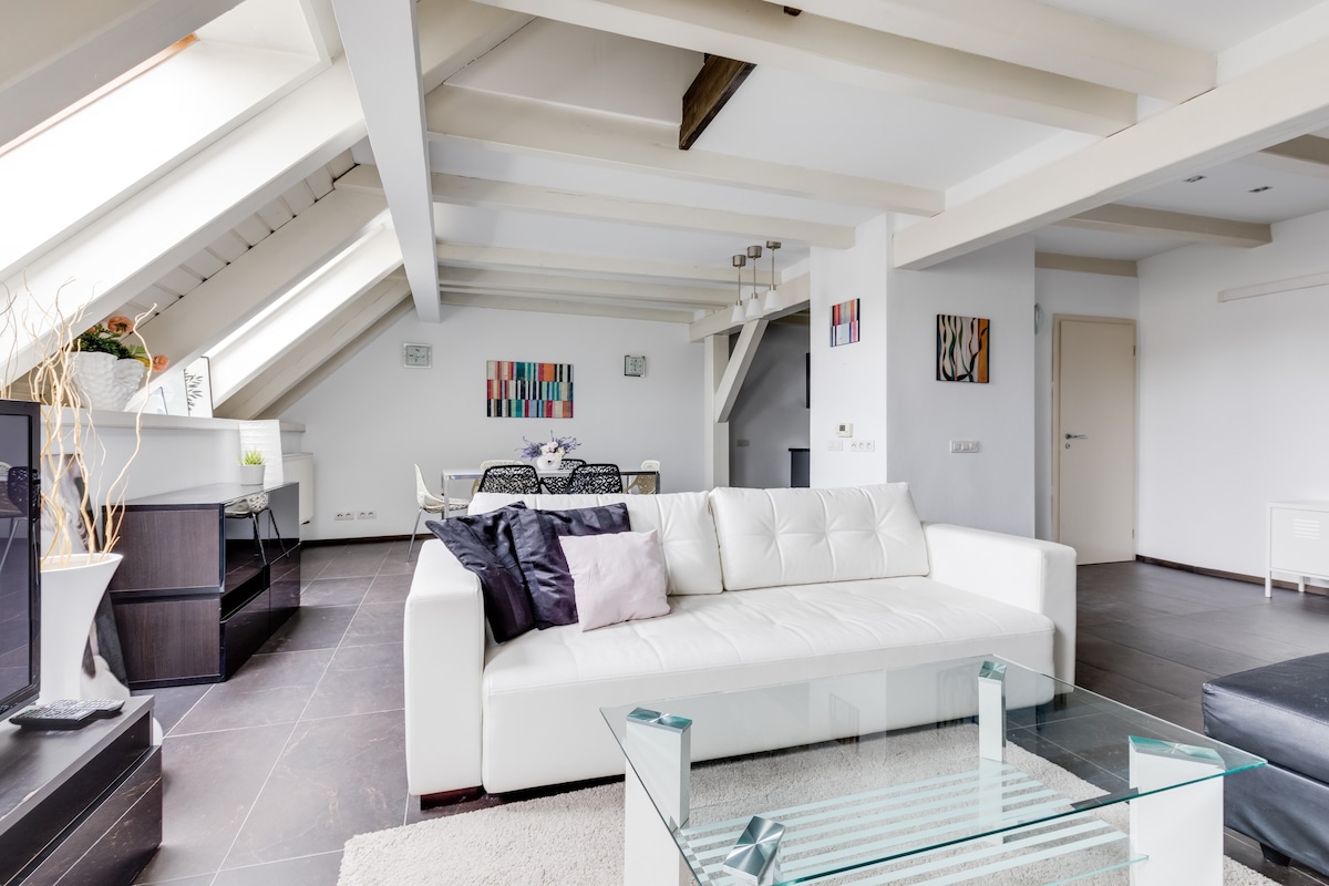 Spacious stylish attic in the heart of the center