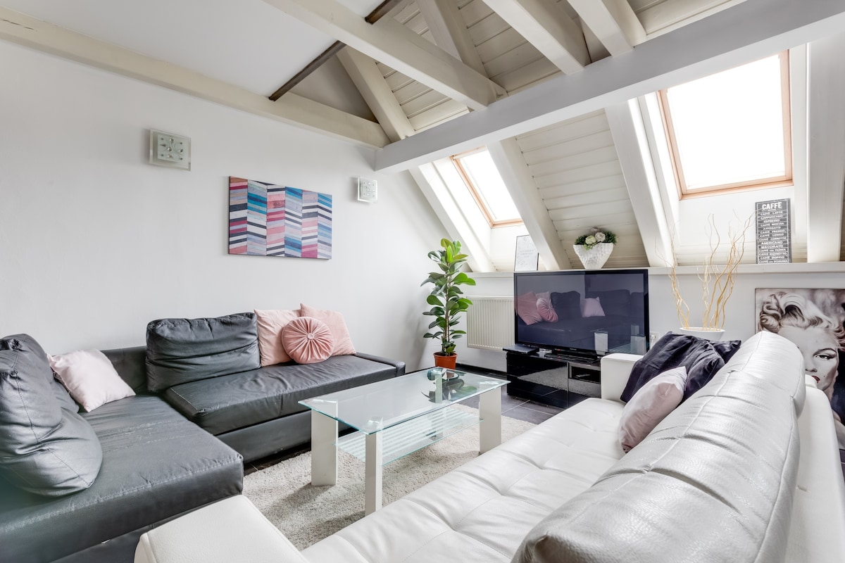 Spacious stylish attic in the heart of the center