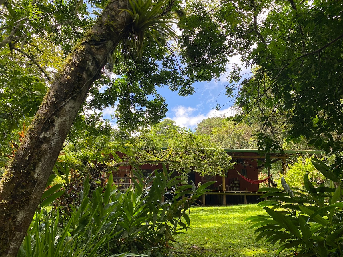 Rainforest Riverside Retreat Lake Arenal-Private