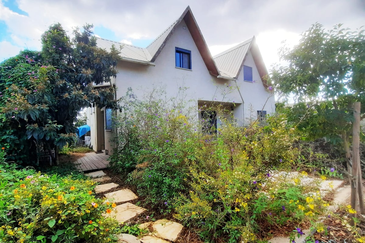 绿色Kibbutz上的蓝色湖泊前的温馨别墅