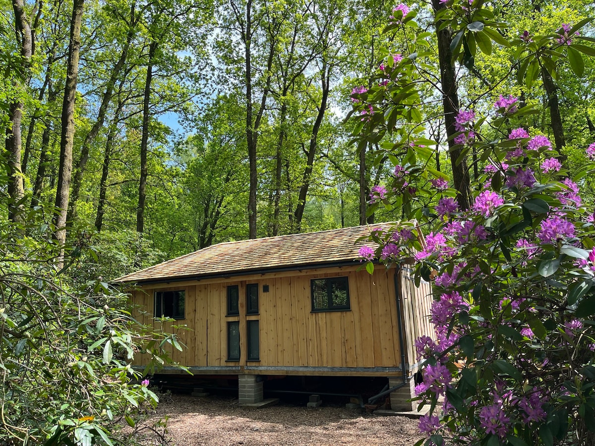 Nuthatch: Wooden lodge with private hot tub