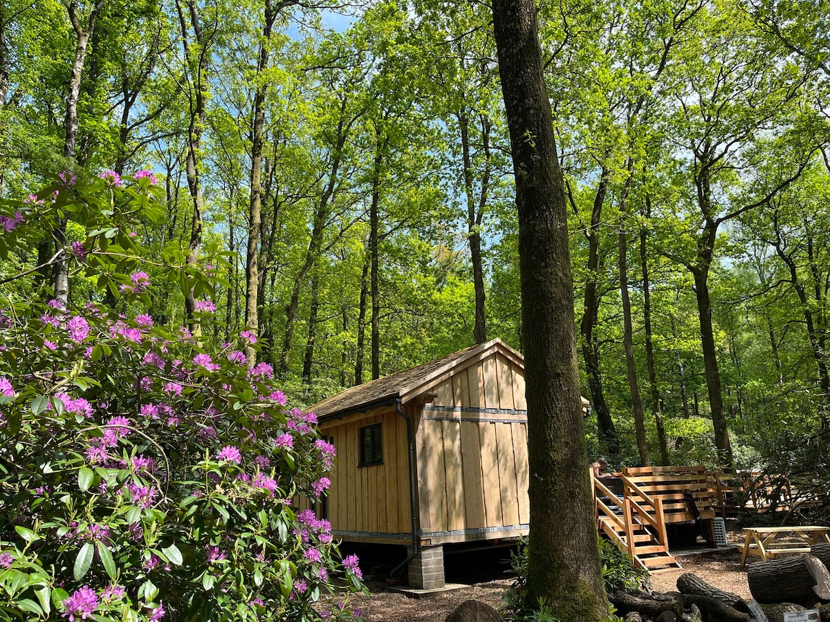 Nuthatch: Wooden lodge with private hot tub