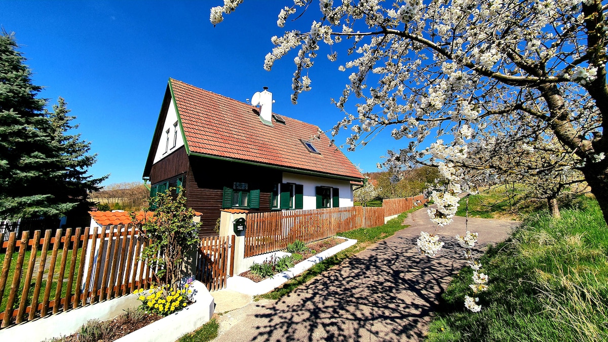 Cozy cottage Geltschberg Nr. 1