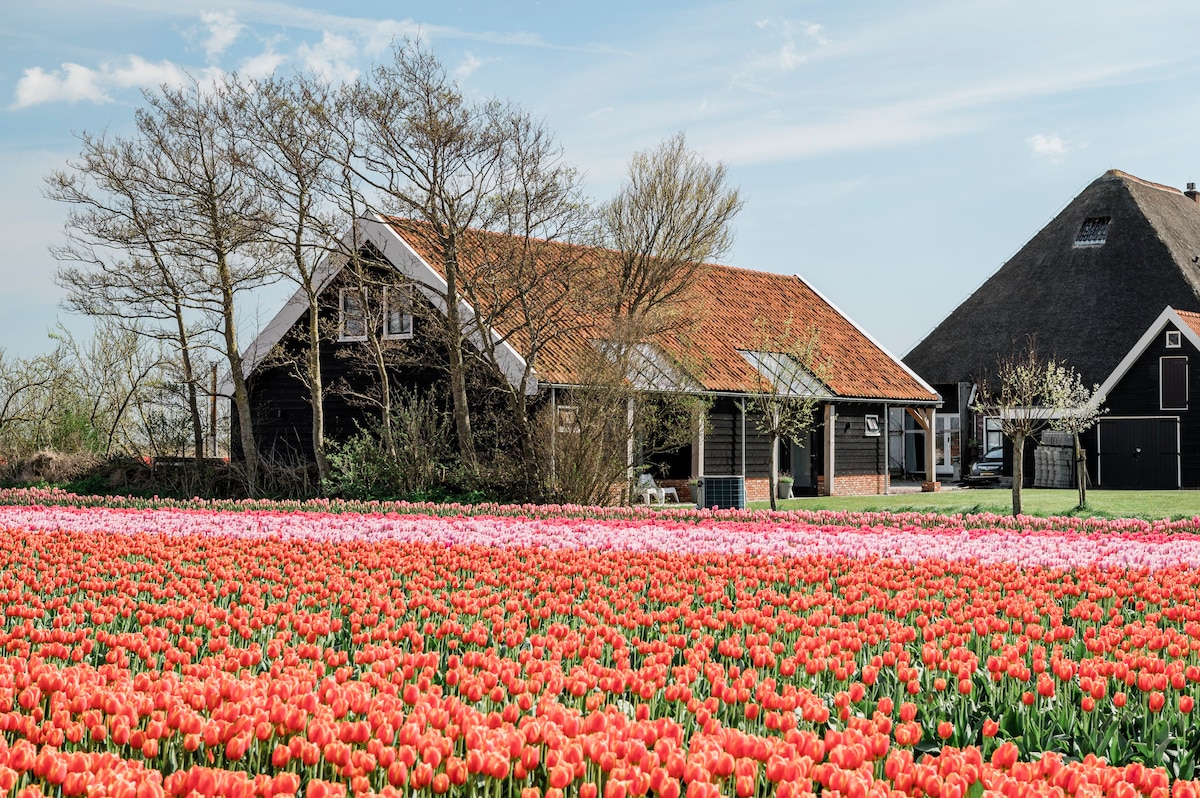 Nieuwe groepsaccommodatie Oersterck aan de kust