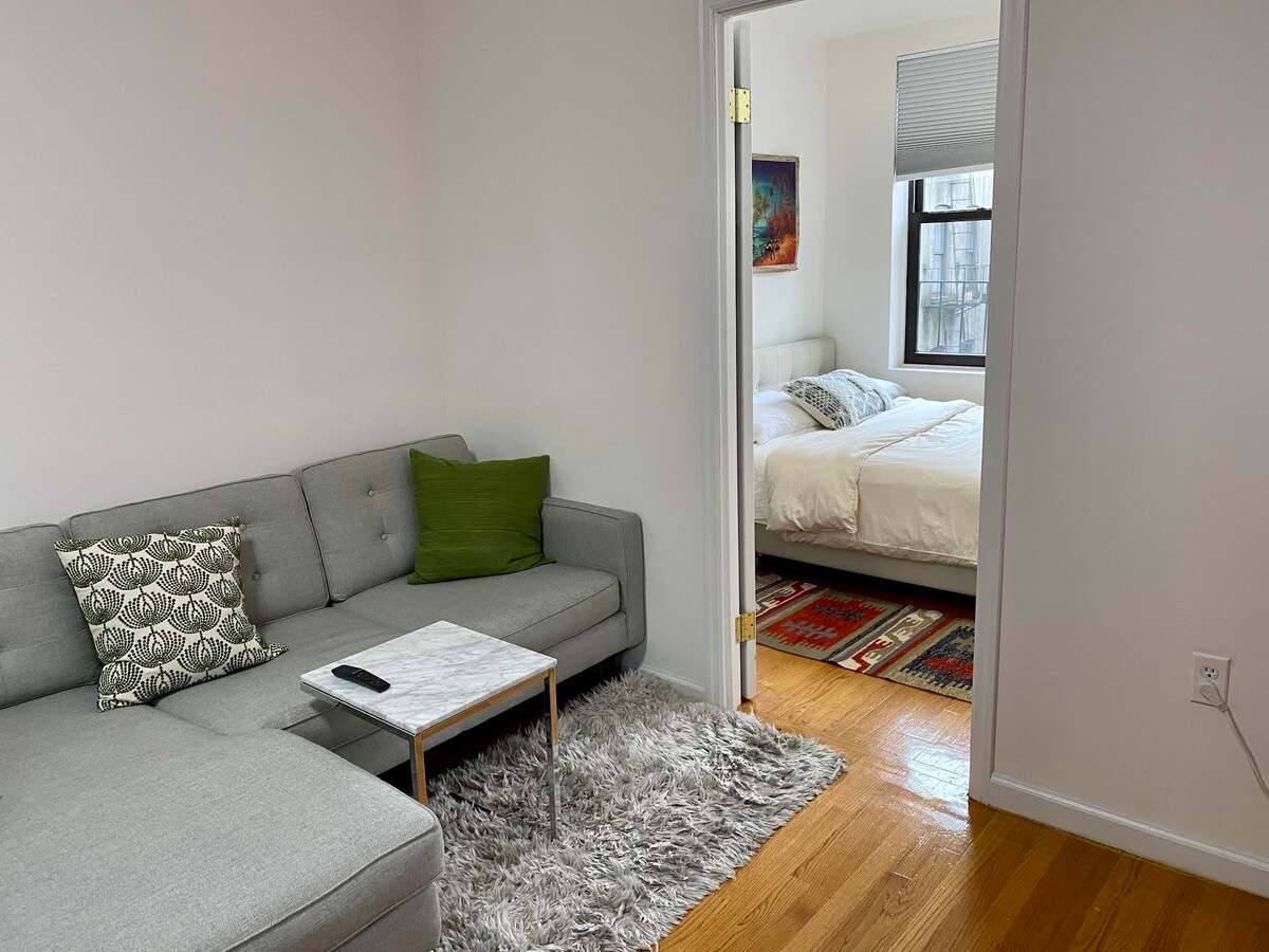 Entire apartment in the Lower East Side!