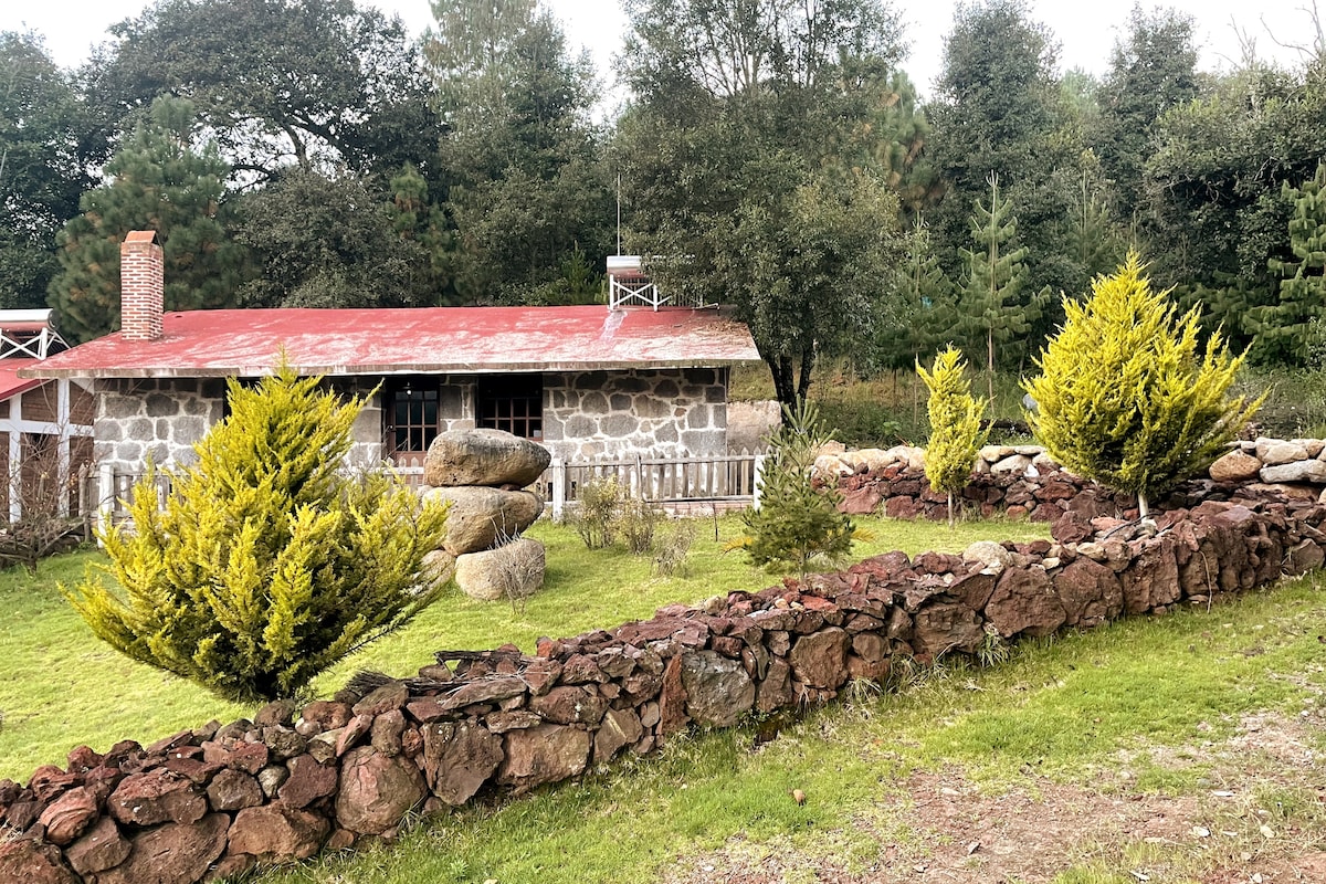 Cálida cabaña en corazon del bosque con temazcal