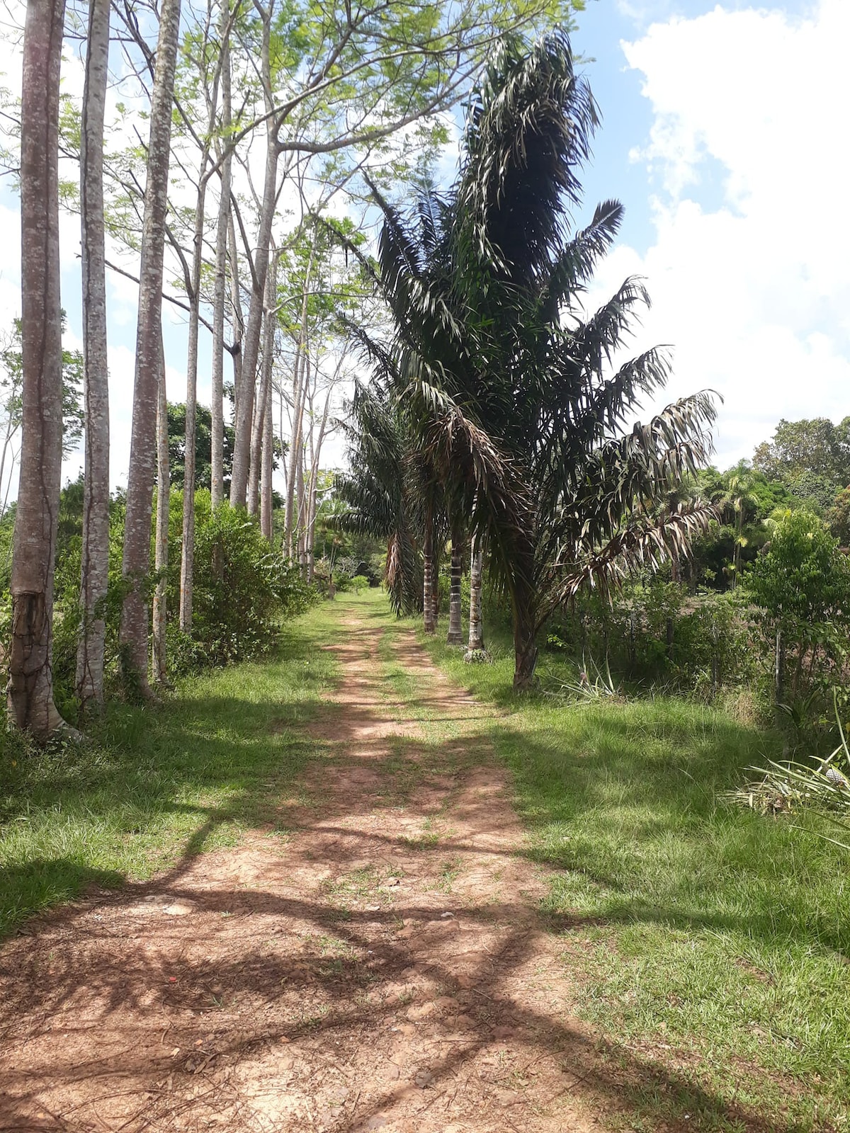 Pousada com piscina e muito contato com a Natureza