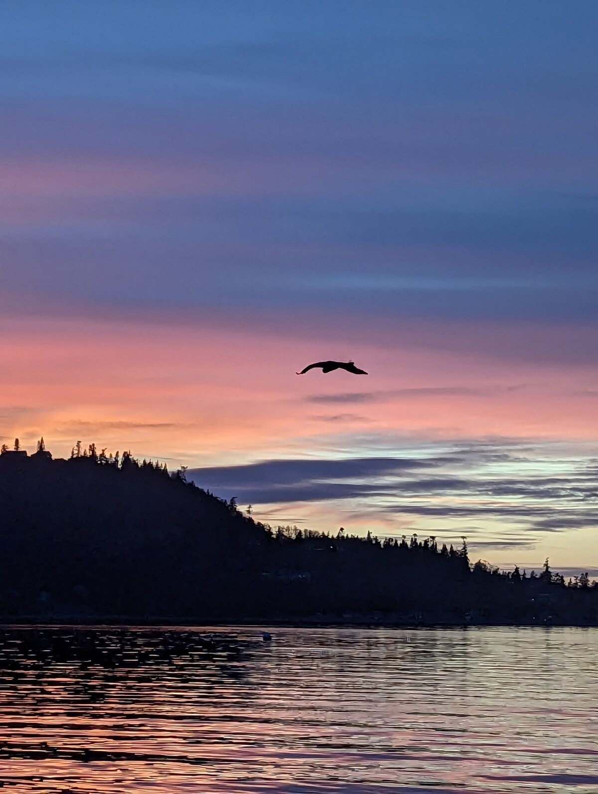 Camano Beach Studio