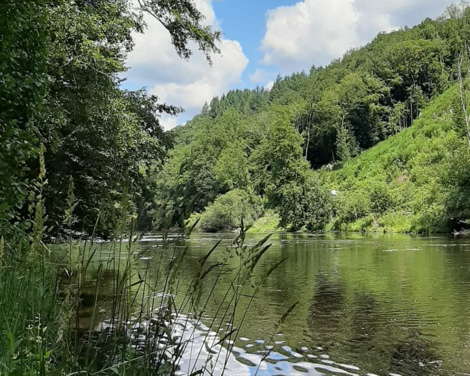 Chalet - Au Long de l'Ourthe - Lac du Nisramont