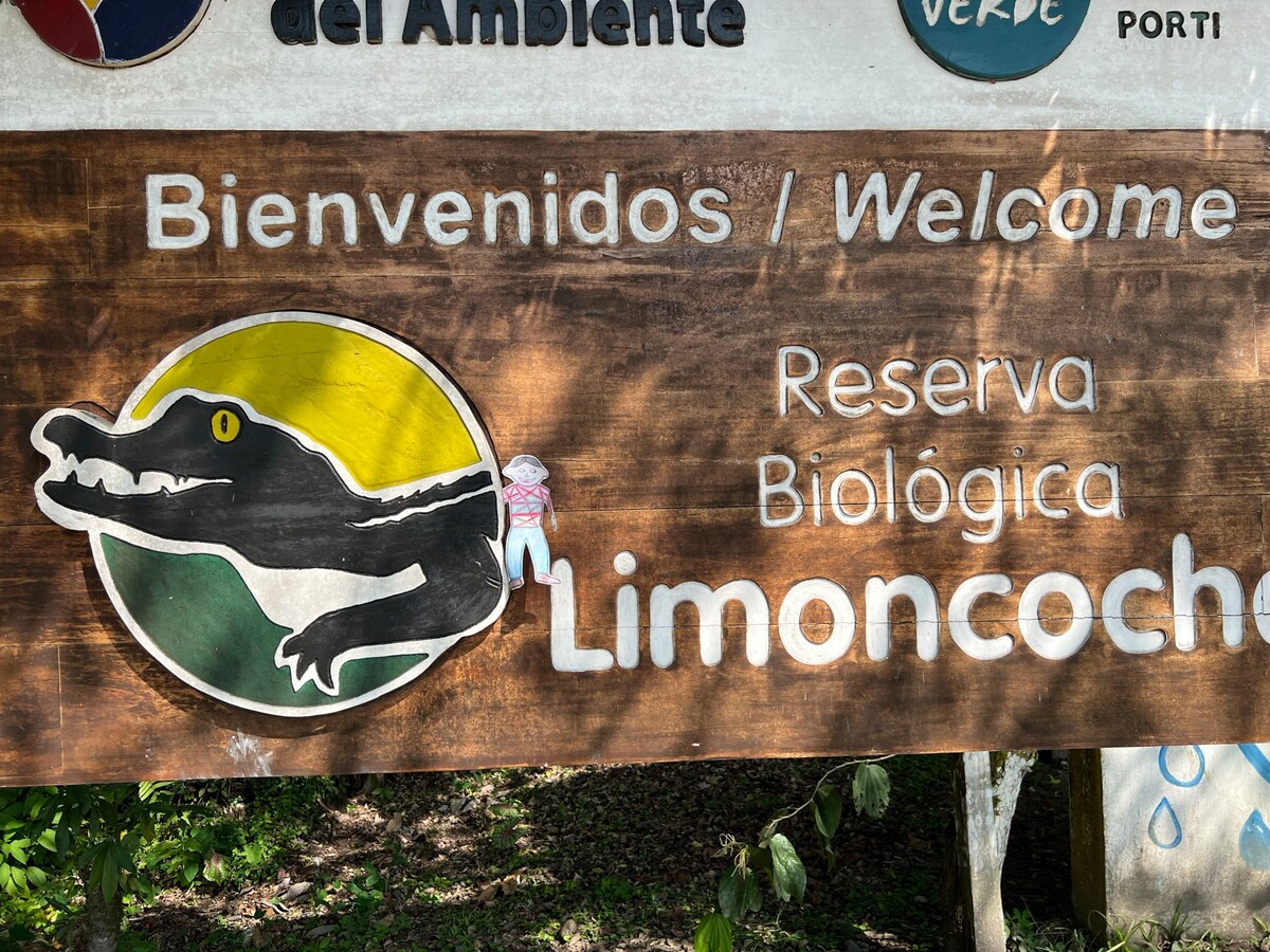 Hoatzin Lodge Limoncocha, Ecuador