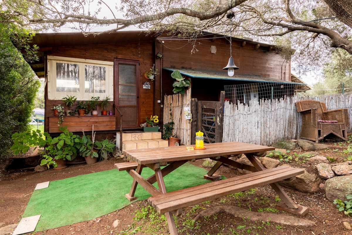 木制空调绿色的生态小木屋