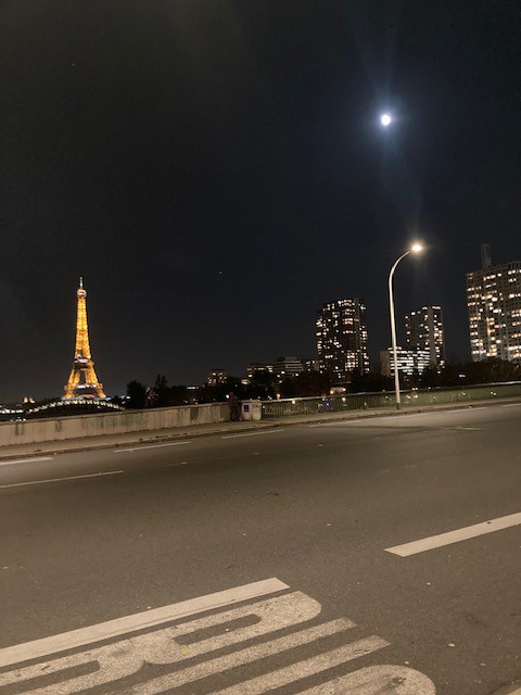 巴黎：埃菲尔铁塔附近全新优雅的公寓！