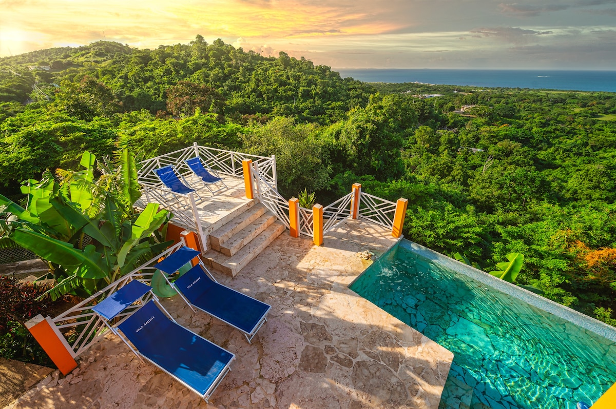 Vieques Villa Gallega -海景，配备无边泳池