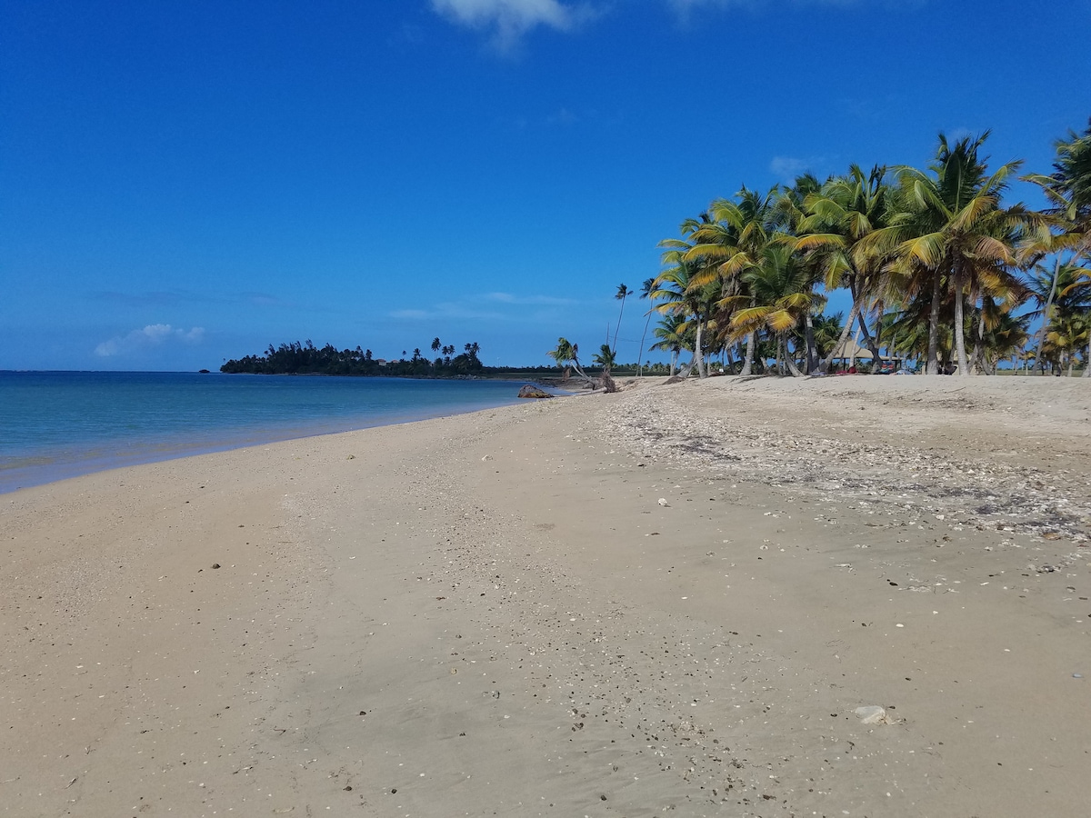 Coco Beach Cabin no pets allow