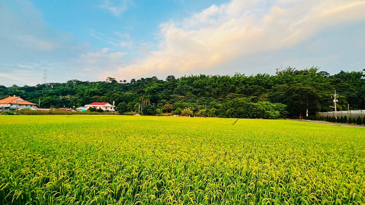 大自然裡的田園鄉村-2