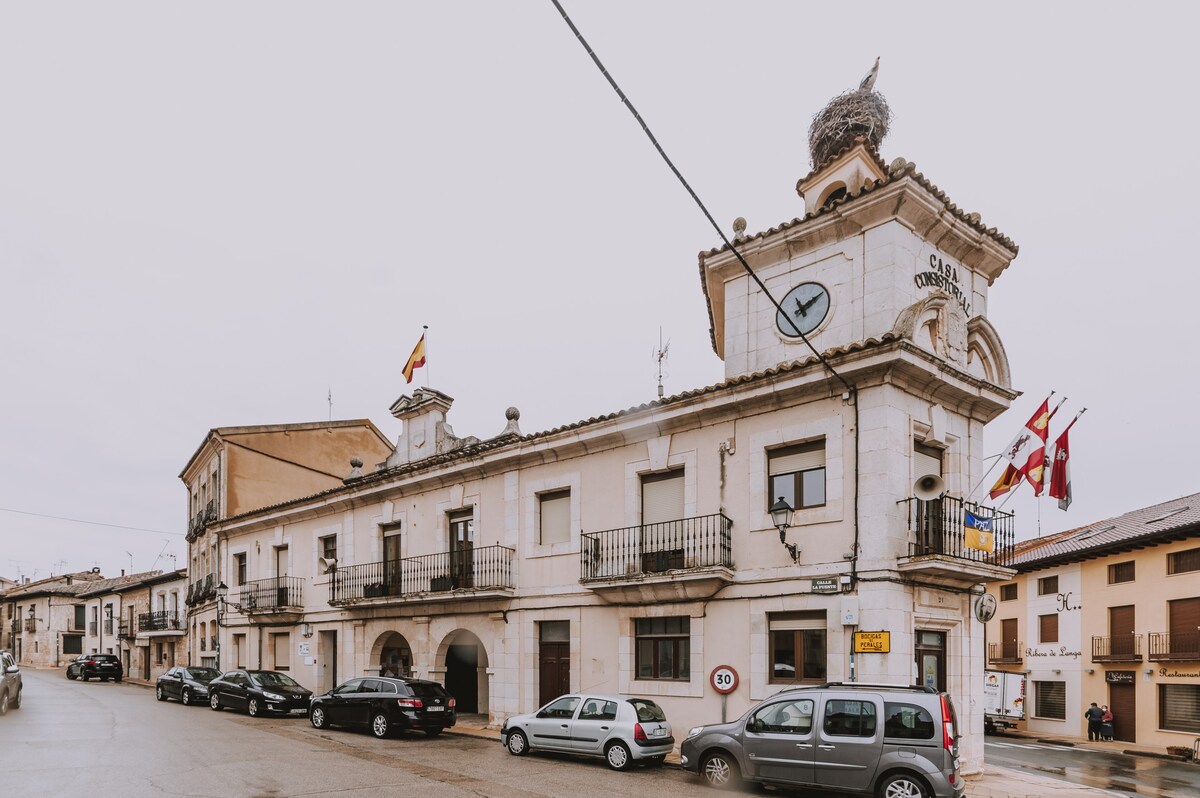 Acojedora Casa Rural en plena Ribera del Duero