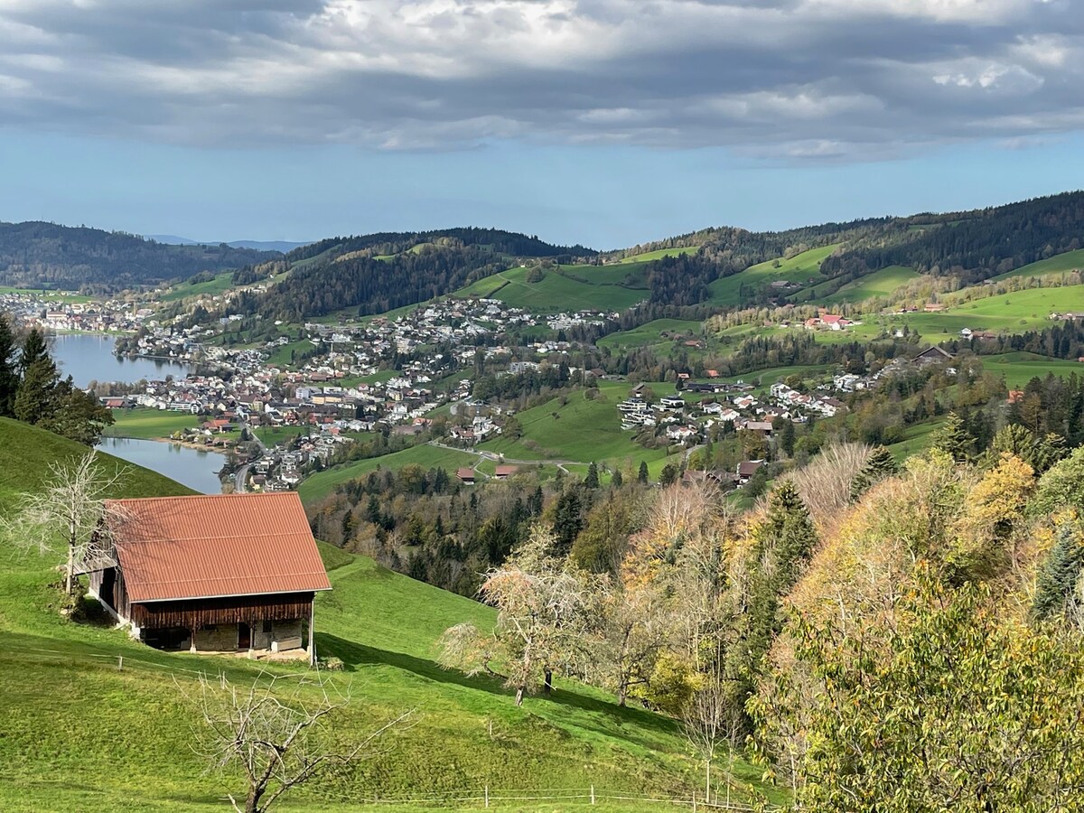 纯粹大自然中的奢华瑞士高山健康之家