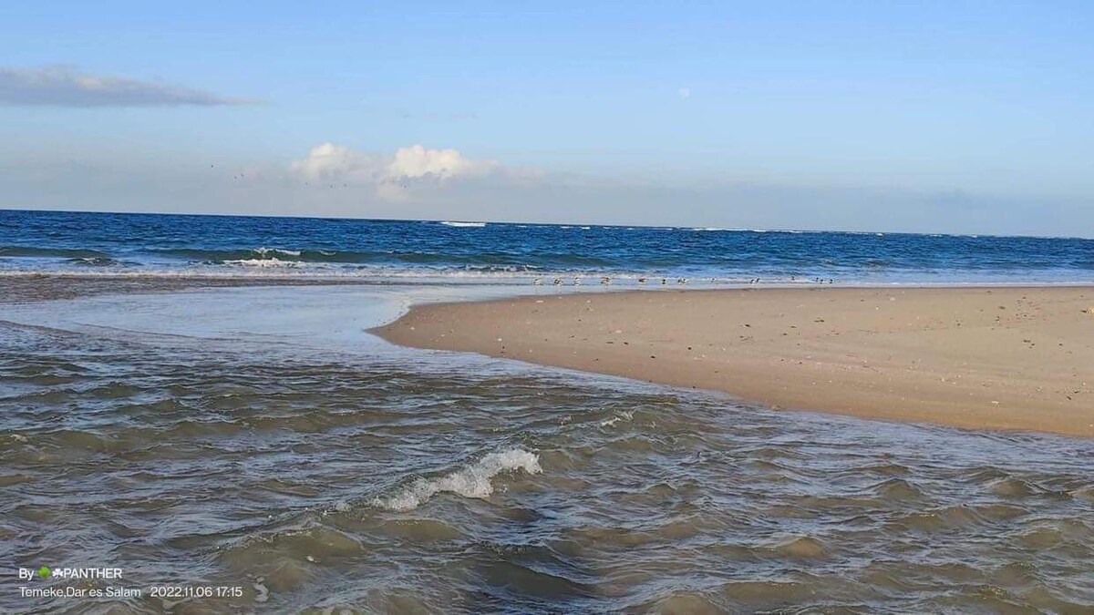 Ecovillage Beach Campsite