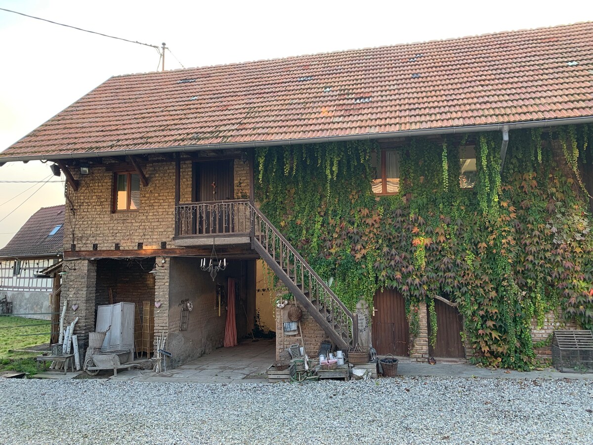 Charmant 3 pièces, maison alsacienne de caractère