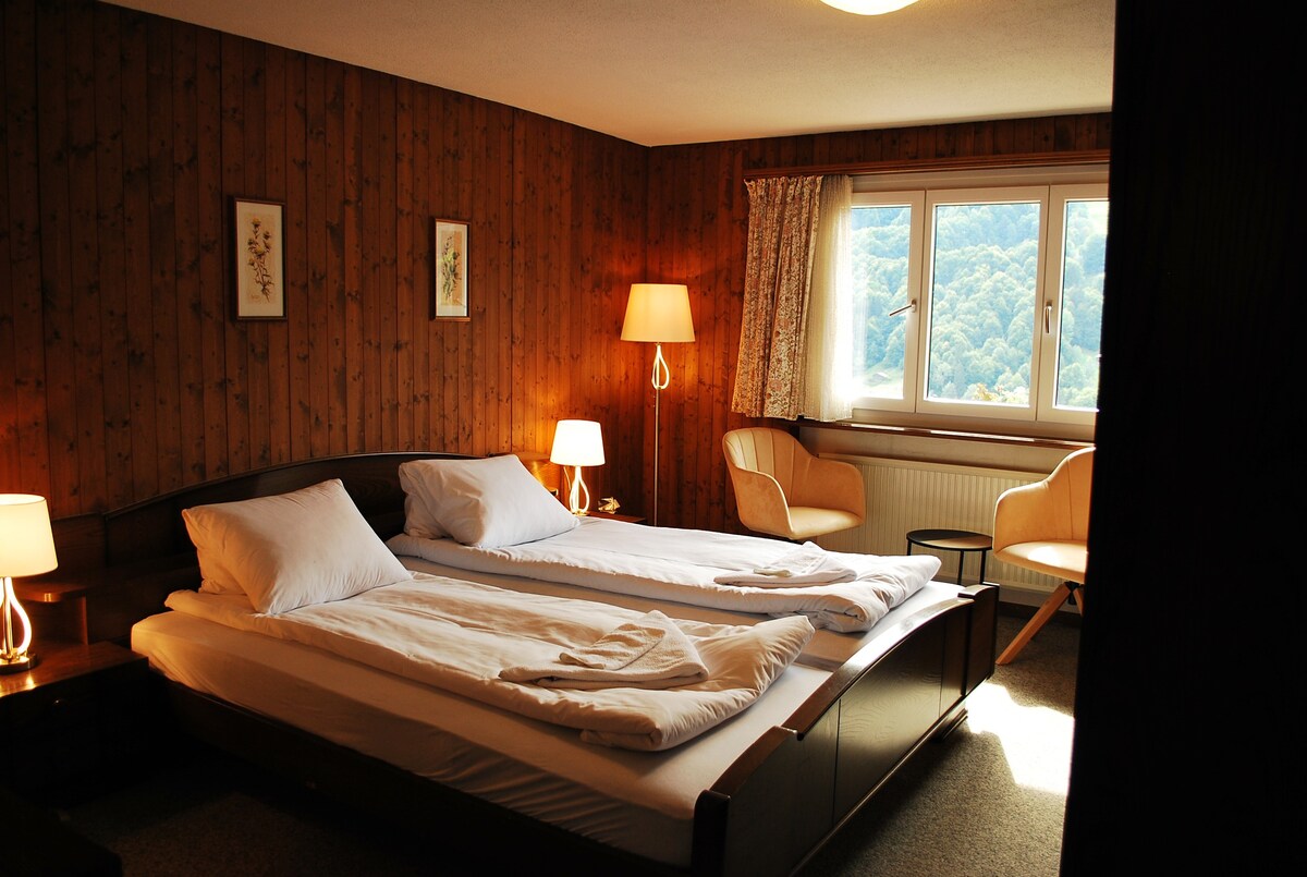 位于瑞士阿尔卑斯山的宽敞家庭公寓，适合滑雪