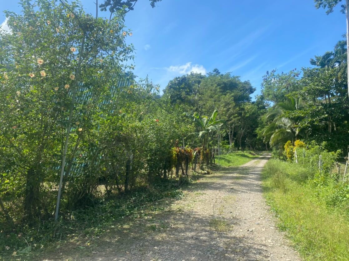 Casa de oropendola