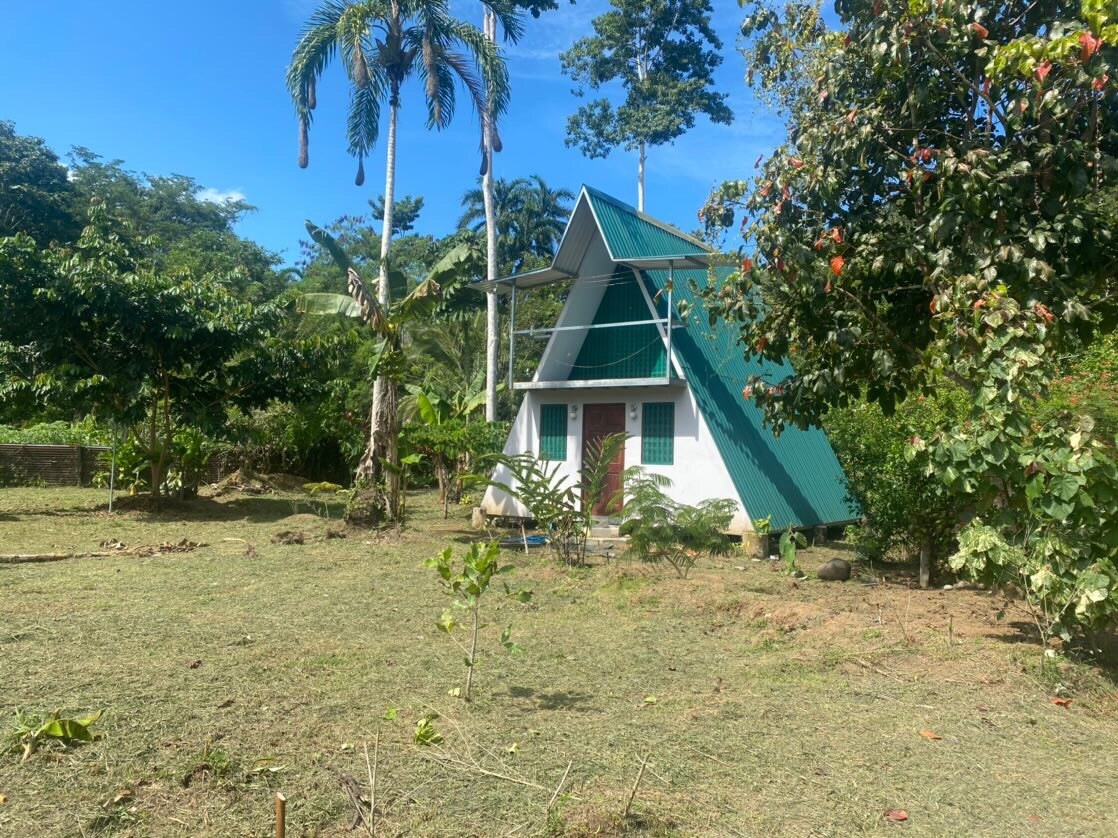 Casa de oropendola