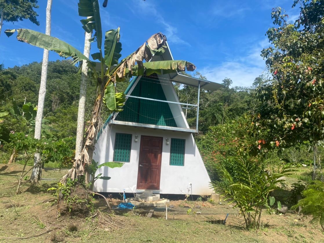 Casa de oropendola