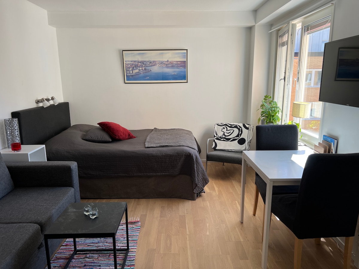 温馨现代的Södermalm公寓