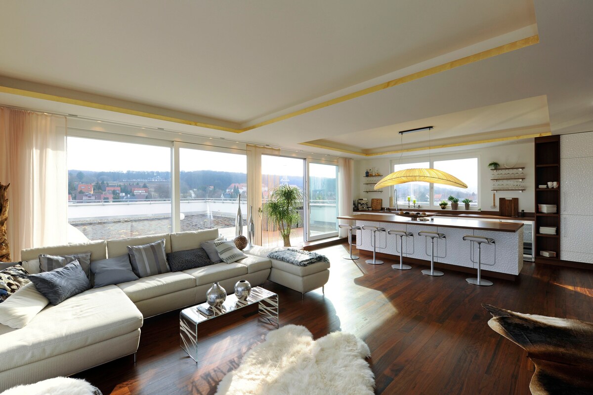 豪华顶层公寓，可俯瞰埃尔福特的美景
