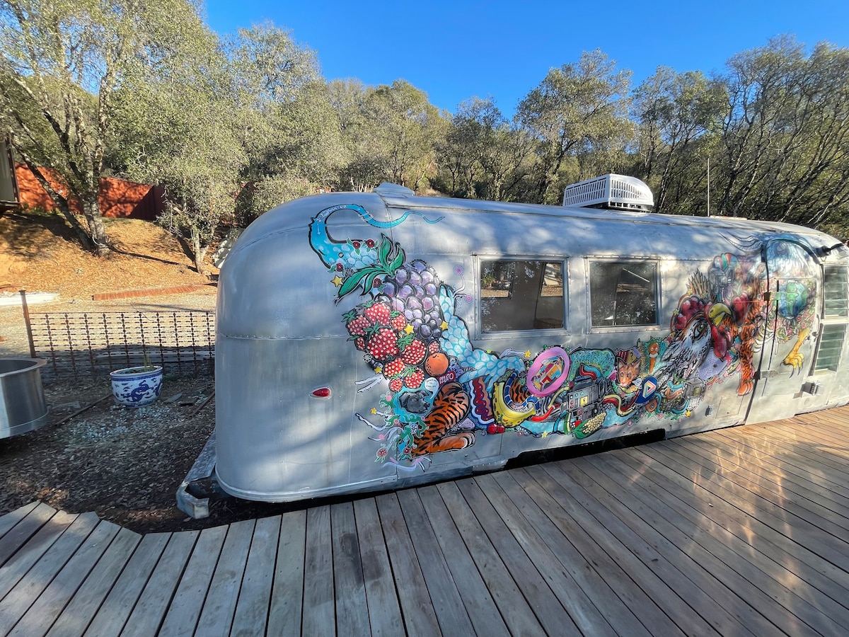 Vintage Airstream, Hot Tub-Pool, Pot Tasting