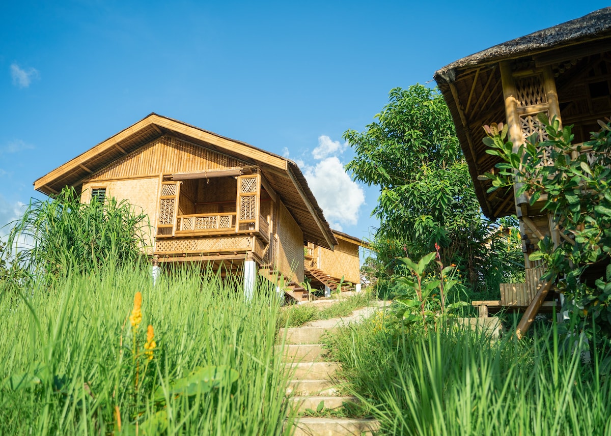 生态小屋中的海景大型乡村小屋